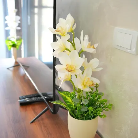 아파트 Hill Susic